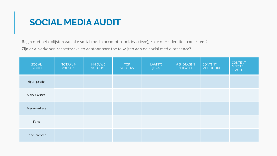 Voorbeeld social media audit